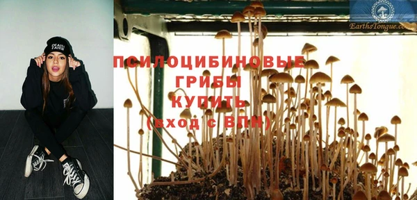 прущая мука Нефтекумск