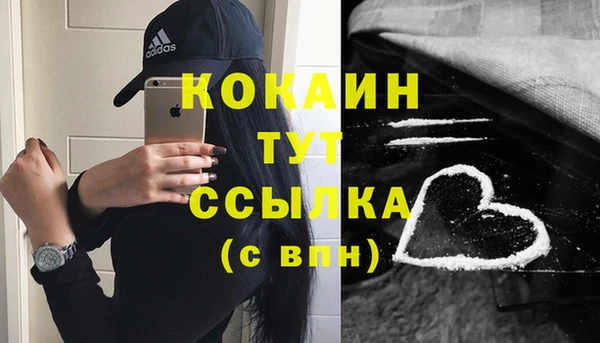 гидропоника Новозыбков