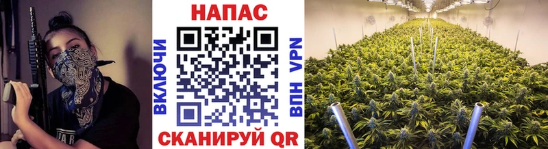 МАРИХУАНА SATIVA & INDICA  Новомичуринск 
